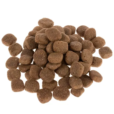 Ruskeita, pyöreitä kuivaruokanappuloita valkoisella taustalla. Tuotemerkki ja tarkempi tuotenimi eivät näy kuvassa.