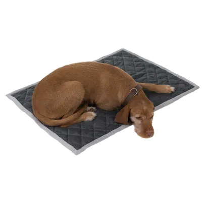 Brauner Hund liegt auf einer gesteppten, dunkelgrauen Matte mit grauem Rand.
