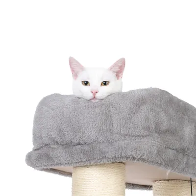 Chat blanc allongé sur une plateforme grise en tissu d’un arbre à chat avec poteaux recouverts de corde.
