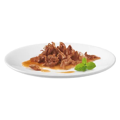 Porție de carne mărunțită în sos pe farfurie albă, decorată cu frunze proaspete de mentă. Nu este vizibil niciun ambalaj sau marcă.
