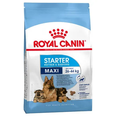 Royal Canin Starter Mother & Babydog Maxi koiranruokapakkaus, aikuispaino 26–44 kg, näkyvissä kaksi koiraa ja nappulakuvia, englanninkielistä tuotetietoa etupuolella.