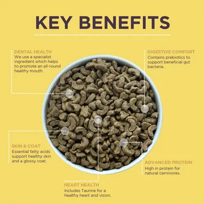 Key benefits of the food: supports dental health, digestive comfort with prebiotics, healthy skin and coat, heart health with taurine, and high protein for natural carnivores.