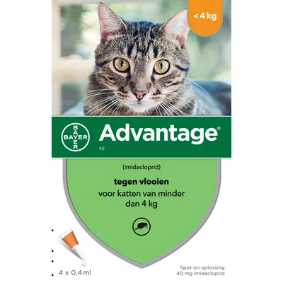 Bayer Advantage, spot-on 40 mg imidaclopride, contre les puces pour chats de moins de 4 kg. Texte en néerlandais : tegen vlooien voor katten van minder dan 4 kg. 4 x 0,4 ml.