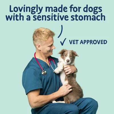 Text reads: Lovingly made for dogs with a sensitive stomach. Vet approved. Image shows a person in medical scrubs holding a dog.
