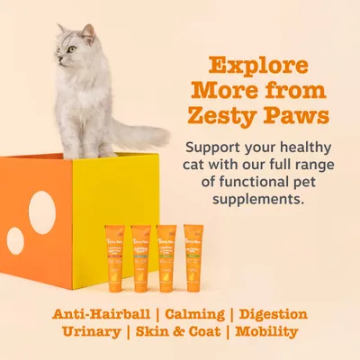 Zesty Paws: Dopolnilna hrana za mačke. Proti kepam dlake, pomirjujoče, za prebavo, za urinarni trakt, za kožo in dlako, za gibljivost. Zesty Paws: Dopolnilna hrana za mačke. Proti kepam dlake, pomirjujoče, za prebavo, za urinarni trakt, za kožo in dlako, za gibljivost.