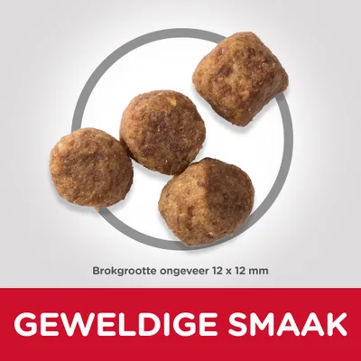 Vier brokken, brokgrootte ongeveer 12 × 12 mm. Tekst: GEWELDIGE SMAAK.