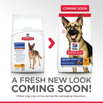 Hill's Science Plan Mature Adult 5+ Large Breed -koiranruoan pakkausmuutos, kaksi erilaista pakkausta vierekkäin. Teksti: COMING SOON. Tuote sisältää kanaa.