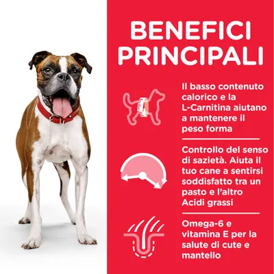 BENEFICI PRINCIPALI: basso contenuto calorico e L-Carnitina per il peso forma, controllo del senso di sazietà, Omega-6 e vitamina E per la salute di cute e mantello. Boxer marrone con collare rosso.