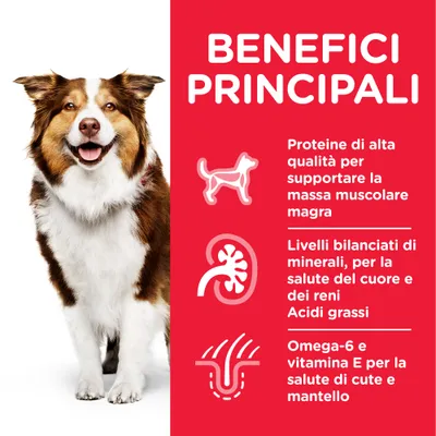 BENEFICI PRINCIPALI: proteine di alta qualità, livelli bilanciati di minerali e acidi grassi, omega-6 e vitamina E per salute muscolare, cuore, reni, cute e mantello.