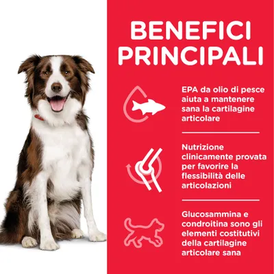 Benefici principali: EPA da olio di pesce per la cartilagine articolare, nutrizione clinicamente provata per la flessibilità articolare, glucosammina e condroitina per articolazioni sane.