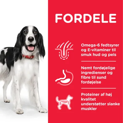 FORDELE: Omega-6 fedtsyrer og E-vitaminer til smuk hud og pels, nemt fordøjelige ingredienser og fibre til sund fordøjelse, proteiner af høj kvalitet understøtter slanke muskler