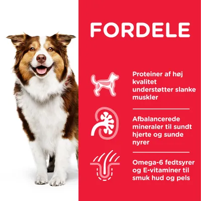 FORDELE: Proteiner af høj kvalitet understøtter slanke muskler. Afbalancerede mineraler til sundt hjerte og sunde nyrer. Omega-6 fedtsyrer og E-vitaminer til smuk hud og pels.