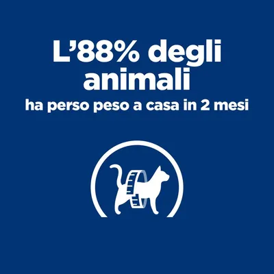 L’88% degli animali ha perso peso a casa in 2 mesi