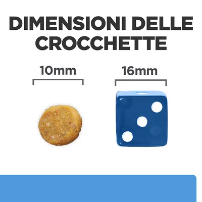 Dimensioni delle crocchette: confronto tra una crocchetta da 10 mm e un dado blu da 16 mm, testo visibile 'DIMENSIONI DELLE CROCCHETTE'
