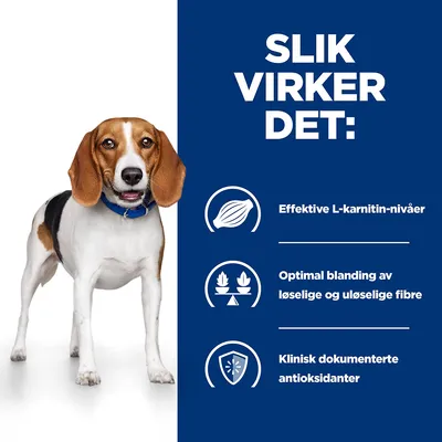 Hill's Prescription Diet r/d  Weight Reduction Hundefôr med kylling