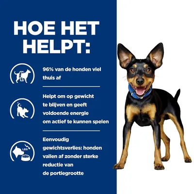 Infografik: 96% der Hunde nahmen zu Hause ab, hilft beim Halten des Gewichts und gibt Energie zum Spielen, einfaches Abnehmen ohne starke Reduktion der Portionsgröße.
