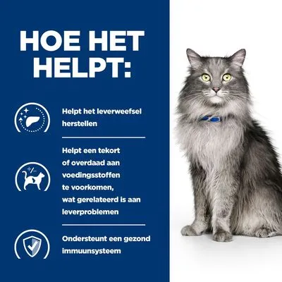 HOE HET HELPT: Helpt het leverweefsel herstellen. Helpt een tekort of overdaad aan voedingsstoffen te voorkomen, wat gerelateerd is aan leverproblemen. Ondersteunt een gezond immuunsysteem.