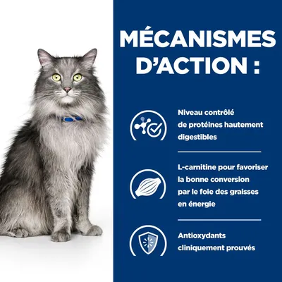 MÉCANISMES D’ACTION : Niveau contrôlé de protéines hautement digestibles, L-carnitine pour favoriser la bonne conversion par le foie des graisses en énergie, Antioxydants cliniquement prouvés