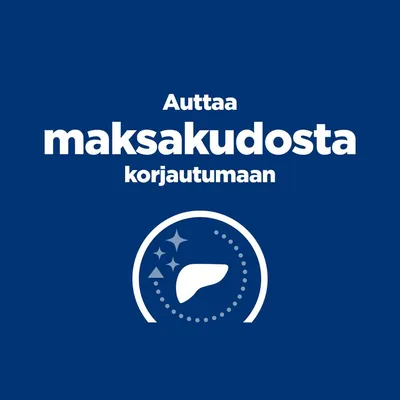 Auttaa maksakudosta korjautumaan