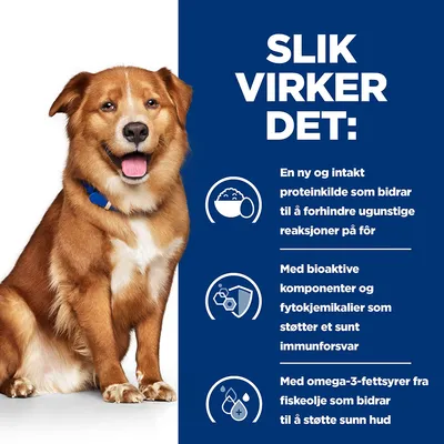 Hill’s Prescription Diet Canine Derm Complete tørrfôr