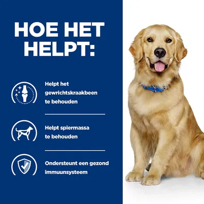 Hoe het helpt: Helpt het gewrichtskraakbeen te behouden, helpt spiermassa te behouden, ondersteunt een gezond immuunsysteem. Afbeelding van zittende hond met blauwe halsband.
