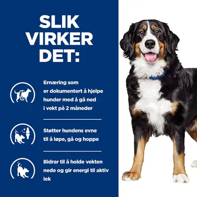 Hill's Prescription Diet Metabolic + Mobility Weight + Joint Care Hundefôr