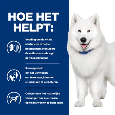 Hill's Prescription Diet Canine K/D +Mobility hundefôr Original