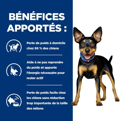 BÉNÉFICES APPORTÉS : Perte de poids à domicile chez 96 % des chiens. Aide à ne pas reprendre du poids et apporte l’énergie nécessaire pour rester actif. Perte de poids facile sans forte réduction des rations.