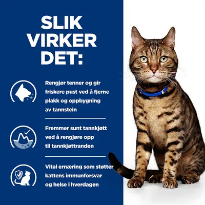 Hill's Prescription Diet Feline t/d