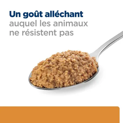 Un goût alléchant auquel les animaux ne résistent pas, texte en haut à gauche ; cuillère avec pâtée marron au centre de l’image.