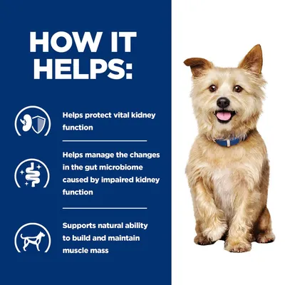 Angol nyelvű szöveg: How it helps: Helps protect vital kidney function, Helps manage the changes in the gut microbiome caused by impaired kidney function, Supports natural ability to build and maintain muscle mass.