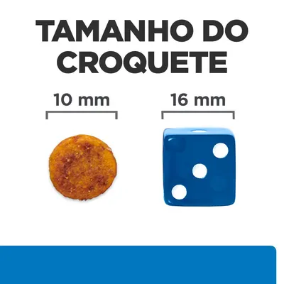 Tamanho do croquete: imagem de um croquete com 10 mm ao lado de um dado azul com 16 mm. Texto visível: 'TAMANHO DO CROQUETE', '10 mm', '16 mm'.