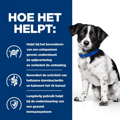 Hoe het helpt: bevordert ontspannen gevoel, ondersteunt spijsvertering en ontlasting, stimuleert darmbacteriën, kalmeert GI-kanaal, langdurig gebruik ondersteunt immuunsysteem.