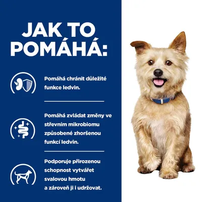 JAK TO POMÁHÁ: Pomáhá chránit důležité funkce ledvin. Pomáhá zvládat změny ve střevním mikrobiomu způsobené zhoršenou funkcí ledvin. Podporuje přirozenou schopnost vytvářet svalovou hmotu a zároveň ji i udržovat. Text v češtine.