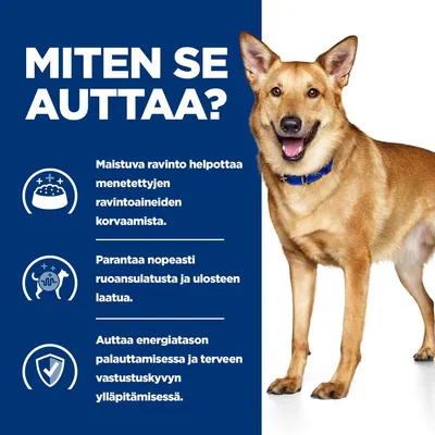 Teksti: MITEN SE AUTTAA? Maistuva ravinto helpottaa menetettyjen ravintoaineiden korvaamista. Parantaa nopeasti ruoansulatusta ja ulosteen laatua. Auttaa energiatason palauttamisessa.