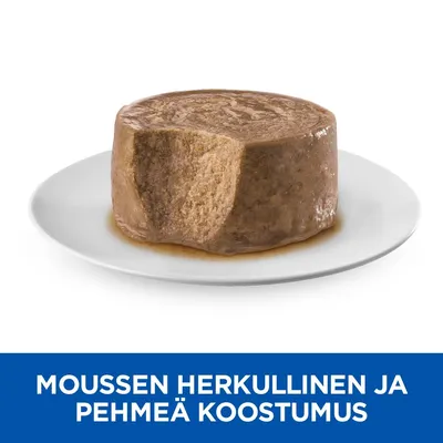 Moussen herkullinen ja pehmeä koostumus