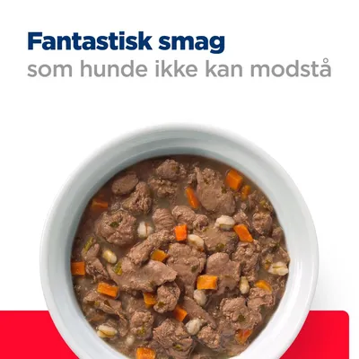 Fantastisk smag som hunde ikke kan modstå. Skål med vådfoder, synlige kødstykker og gulerødder.