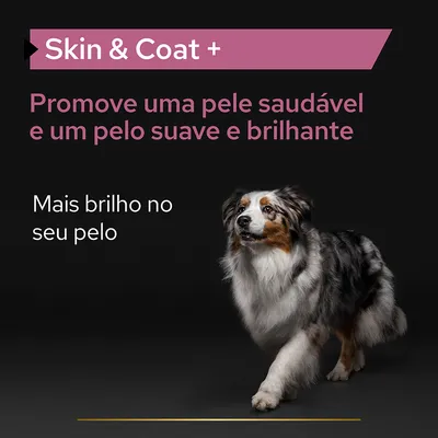 Skin & Coat +. Promove uma pele saudável e um pelo suave e brilhante. Mais brilho no seu pelo.