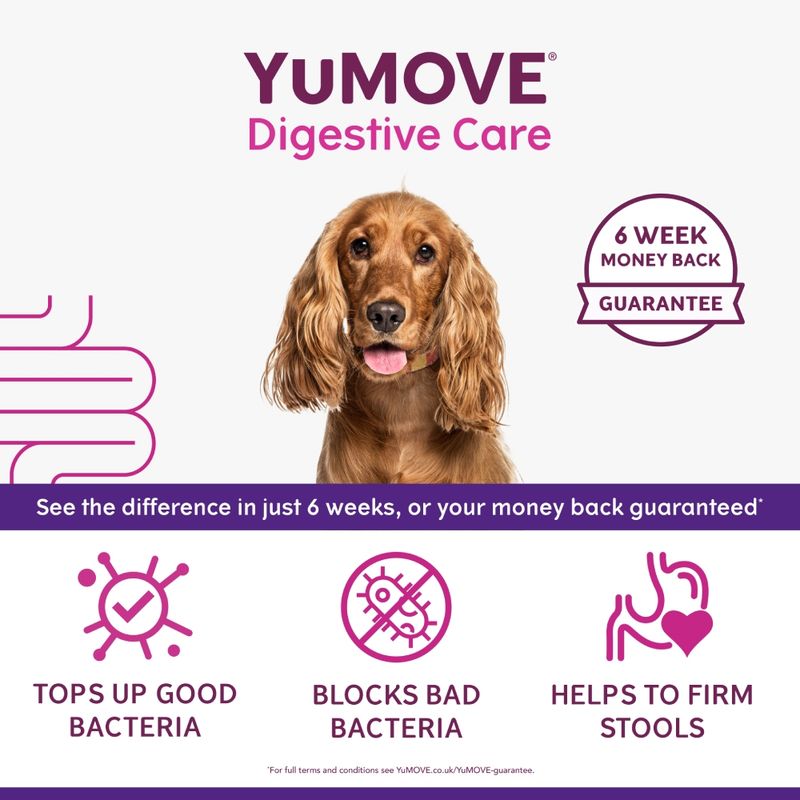 YuMOVE Digestive Care Pre- & Probiotic
