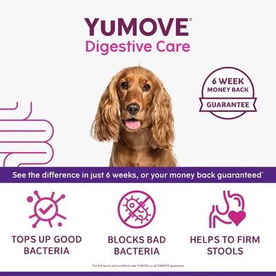 YuMOVE Digestive Care. 6 week money back guarantee. See the difference in just 6 weeks, or your money back guaranteed. Tops up good bacteria. Blocks bad bacteria. Helps to firm stools.