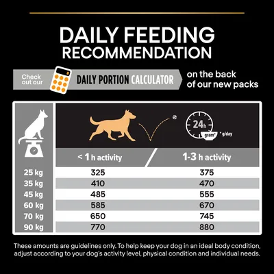 PURINA PRO PLAN Large Robust Adult Everyday Nutrition