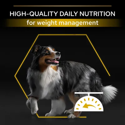 Tekst: HIGH-QUALITY DAILY NUTRITION for weight management. Hund står foran sort baggrund med gul vægtsymbol. Teksten er på engelsk.
