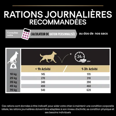 Tableau des rations journalières recommandées pour chiens selon poids (10–70 kg) et activité (<1h : 145–540 g, 1–3h : 170–620 g). Calculateur de ration personnalisée mentionné.