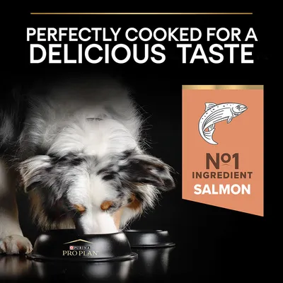 Text reads: Perfectly cooked for a delicious taste. Number one ingredient salmon. Image shows a pet eating from a bowl labelled Pro Plan.