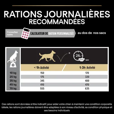 Tableau des rations journalières recommandées pour chiens selon poids (10 à 70 kg) et activité (<1h ou 1–3h), exemple : 10 kg, 150 g/jour (<1h), 170 g/jour (1–3h).