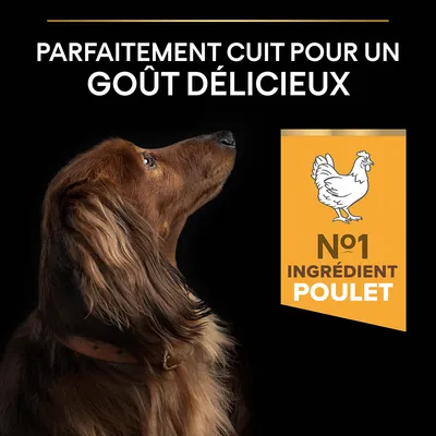 Parfaitement cuit pour un goût délicieux. N°1 ingrédient poulet.