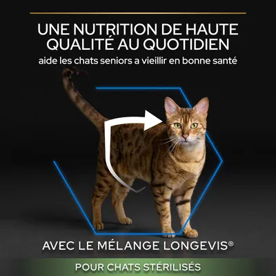 Texte : Une nutrition de haute qualité au quotidien, aide les chats seniors à vieillir en bonne santé, avec le mélange Longevis, pour chats stérilisés. Chat adulte tigré visible.