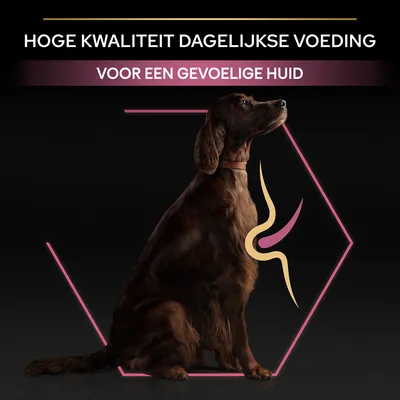 Hoge kwaliteit dagelijkse voeding, voor een gevoelige huid. Afbeelding van een hond met grafisch element bij de borst.