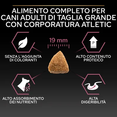 Alimento completo per cani adulti di taglia grande con corporatura atletica, crocchetta 19 mm, senza l'aggiunta di coloranti, alto contenuto proteico, alto assorbimento nutrienti, alta digeribilità.