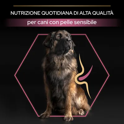 Nutrizione quotidiana di alta qualità per cani con pelle sensibile